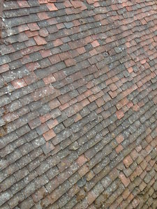roof.jpg